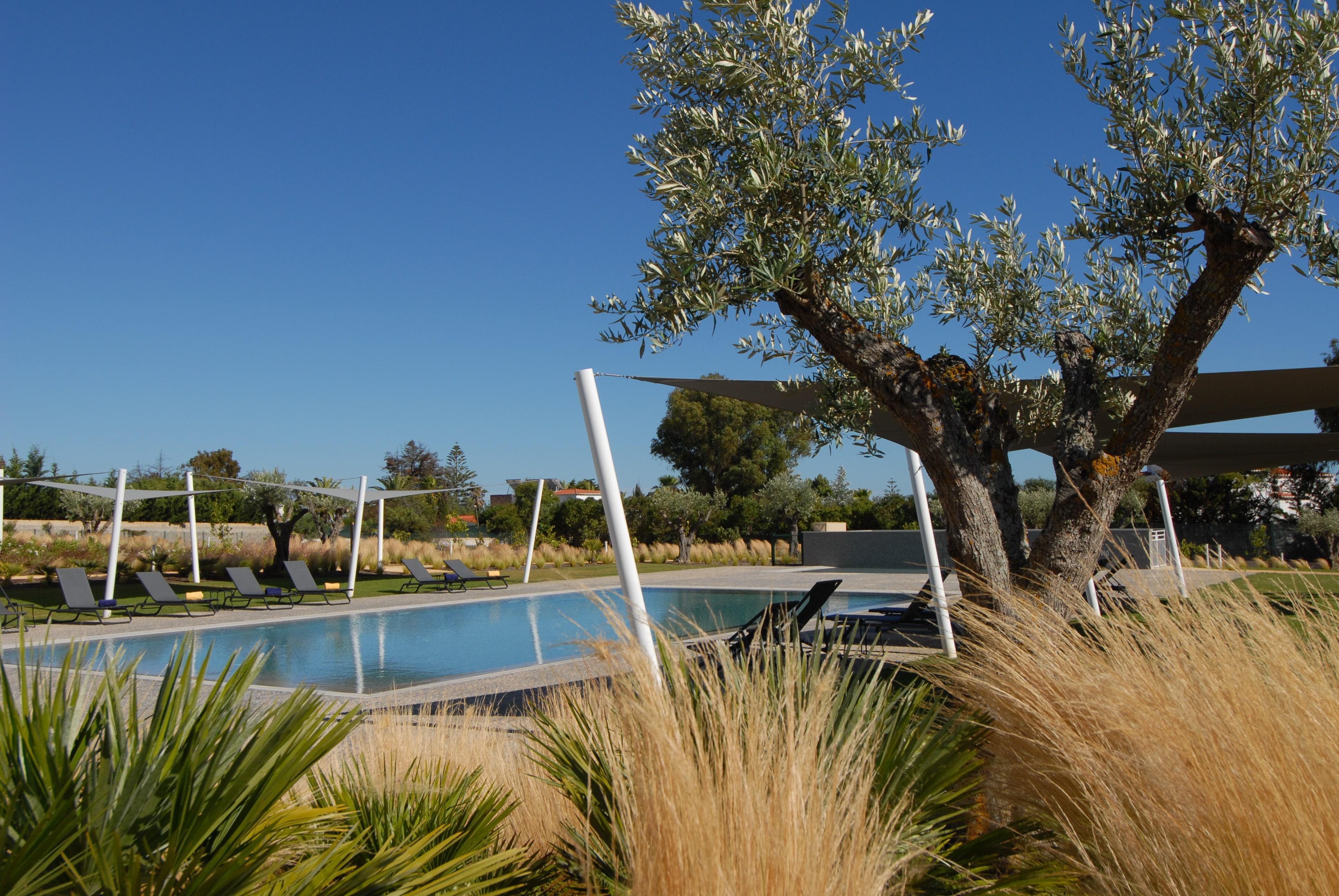 Quinta Do Algarvio Village Carvoeiro  Eksteriør bilde