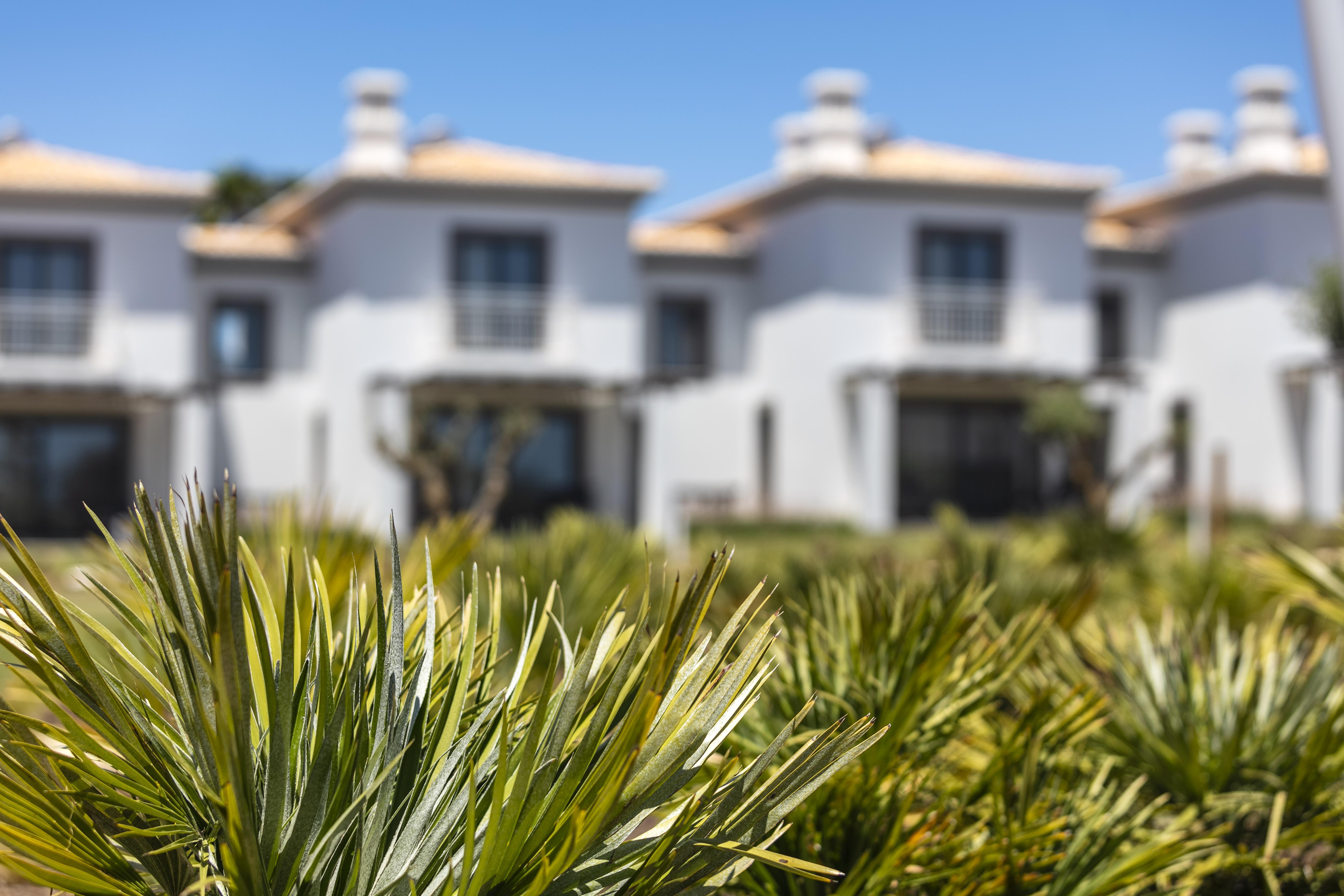 Quinta Do Algarvio Village Carvoeiro  Eksteriør bilde