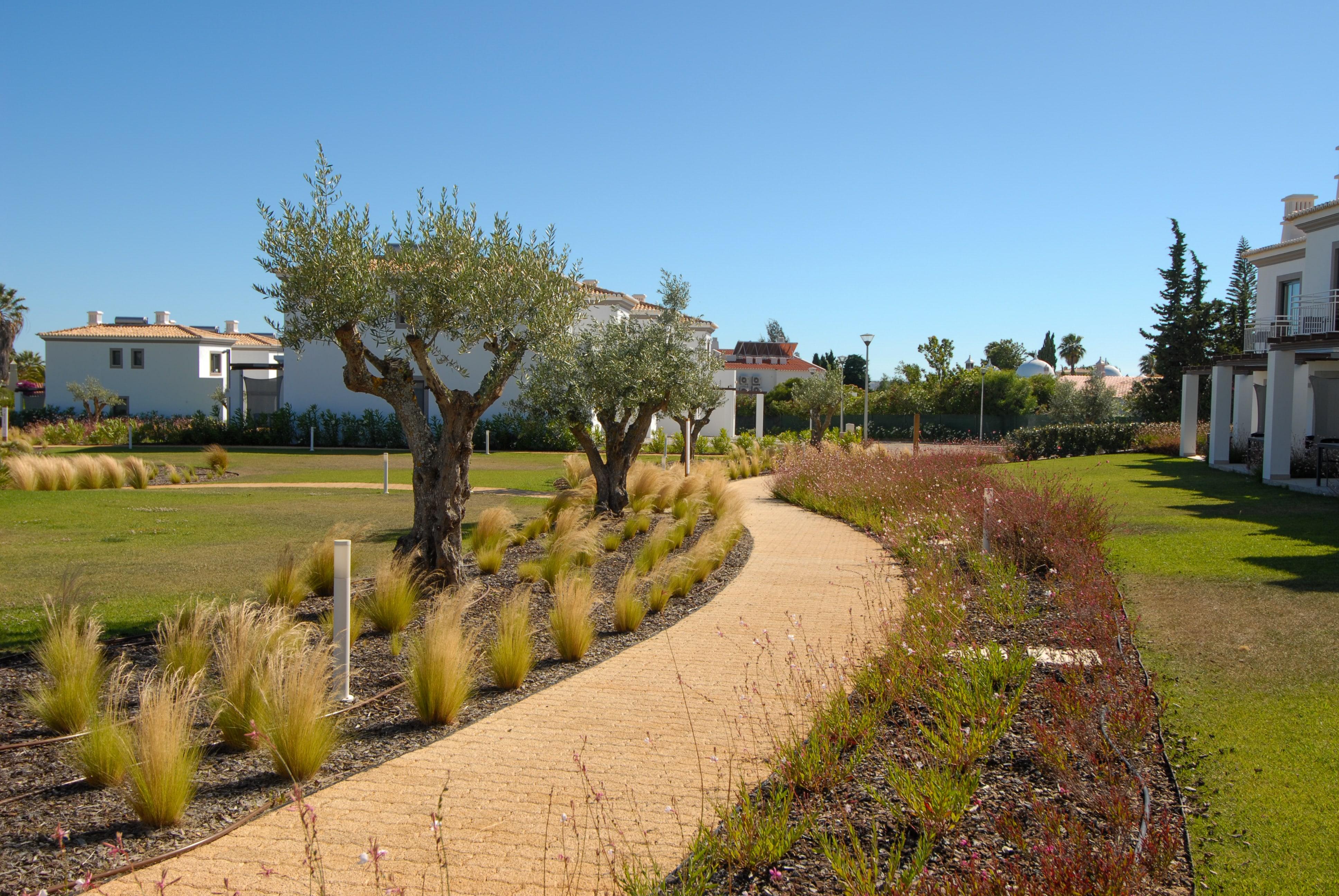 Quinta Do Algarvio Village Carvoeiro  Eksteriør bilde